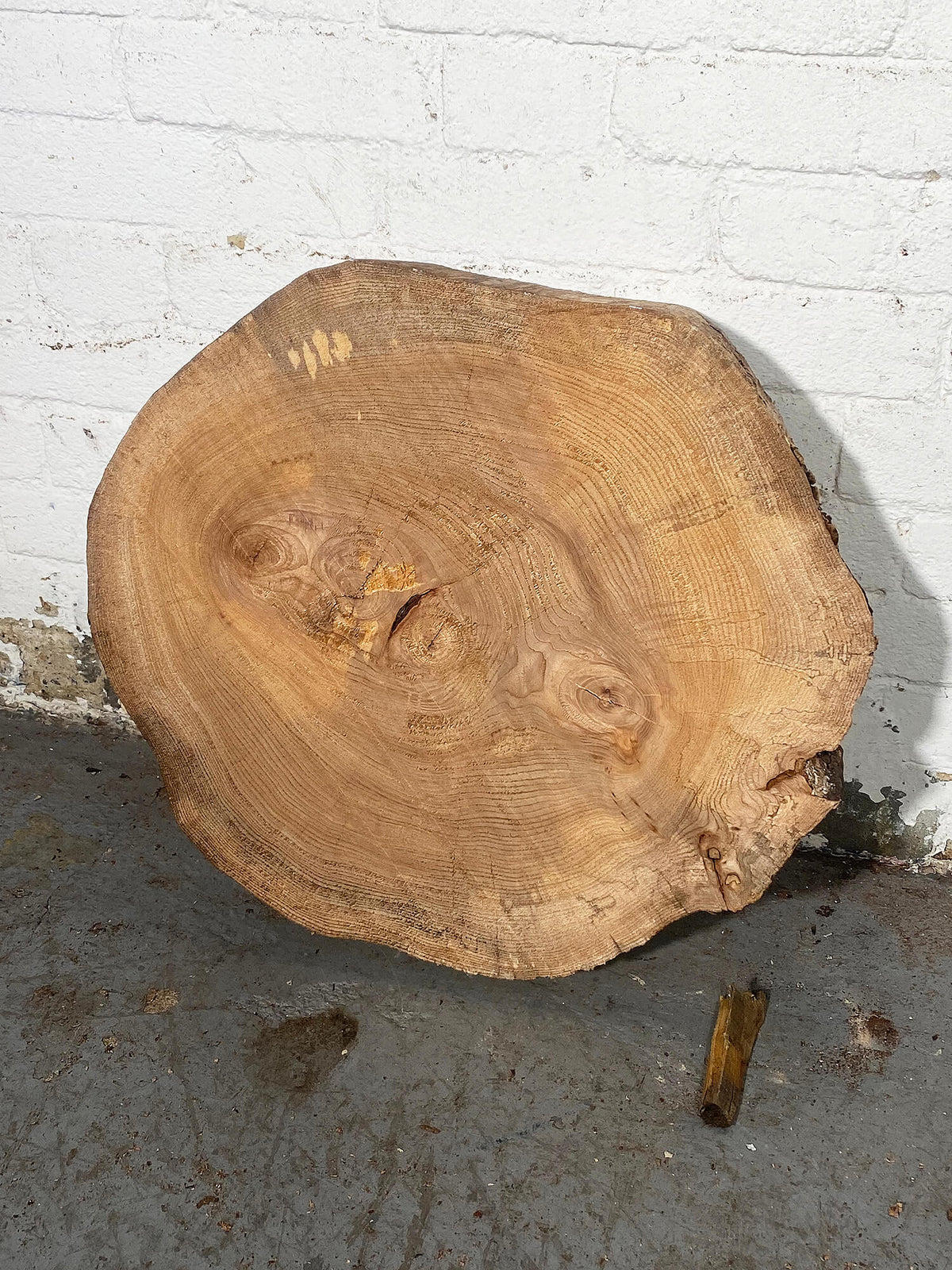 Elm - Spalted Cookie
