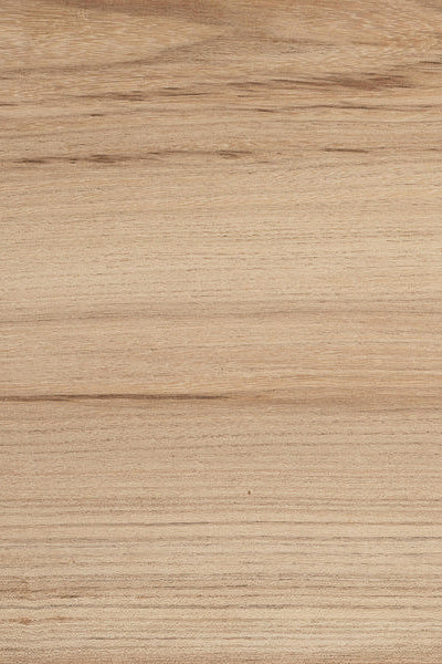 ELM