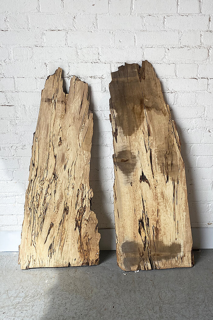 Hornbeam - Spalted Boards