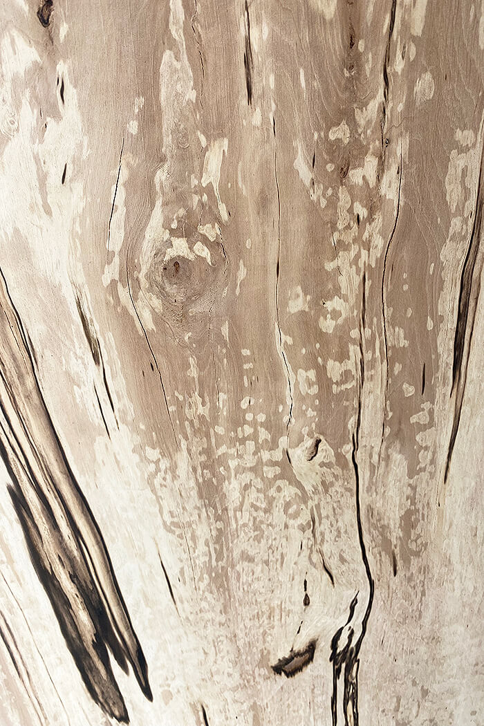 Hornbeam - Spalted Boards