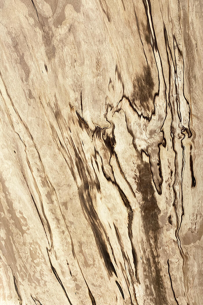 Hornbeam - Spalted Boards