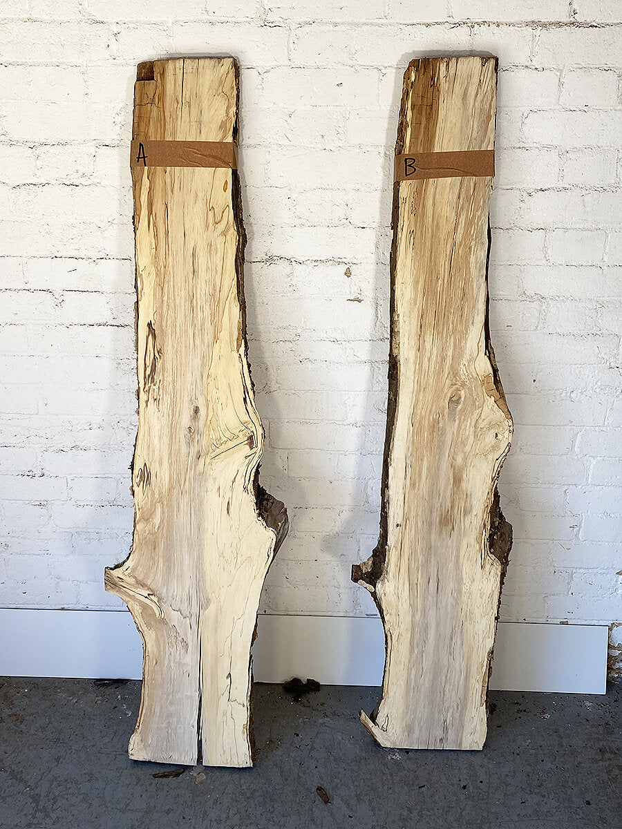 Hornbeam - Spalted Boards