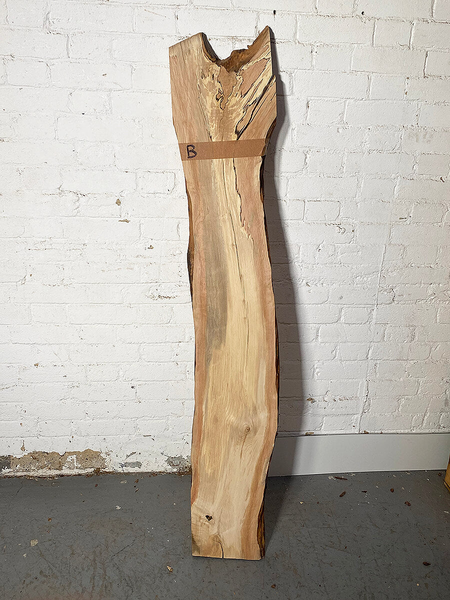 Hornbeam - Spalted Live Edge Boards