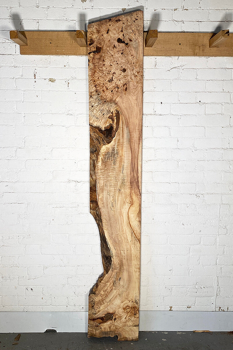 Horse Chestnut - Burr Board