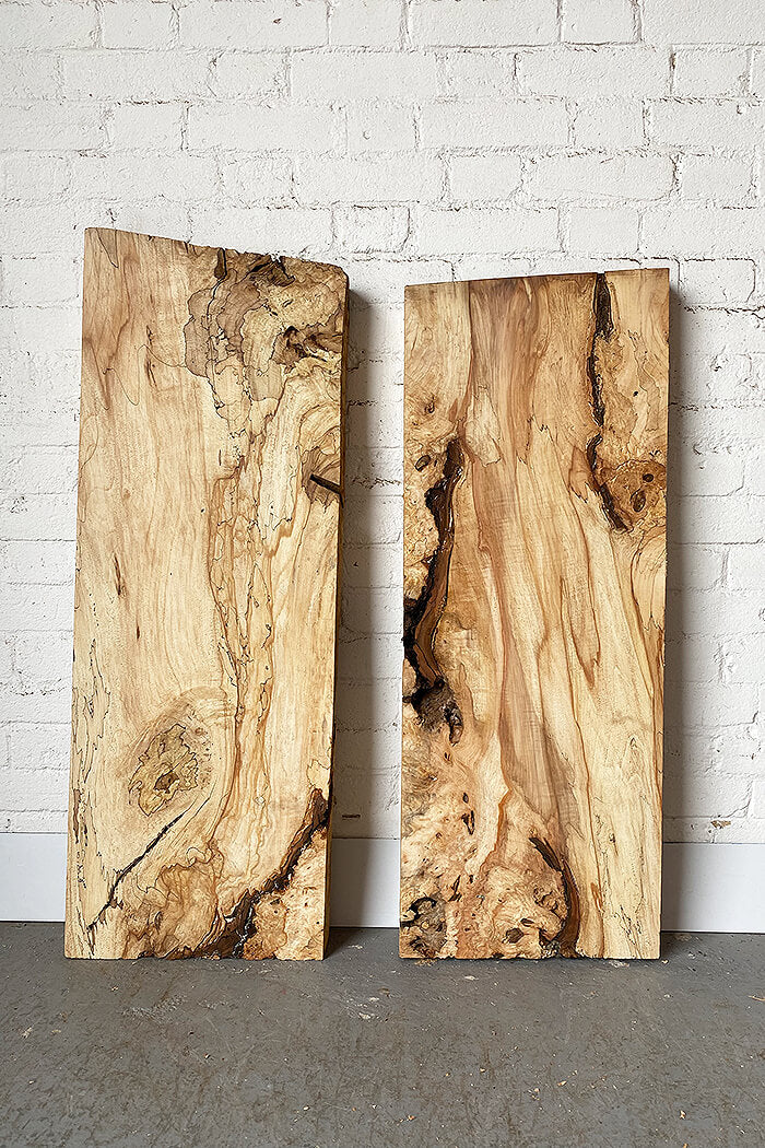 Horse Chestnut - Character Boards