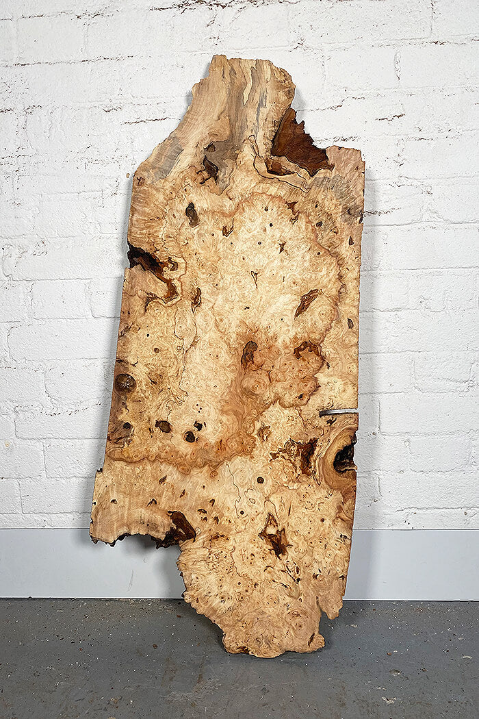 Horse Chestnut - Character Board