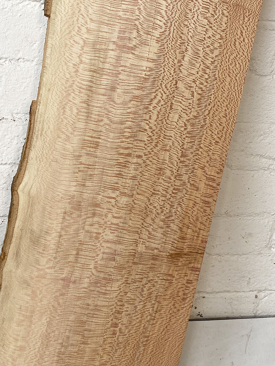 London Plane - Bookmatched Pair
