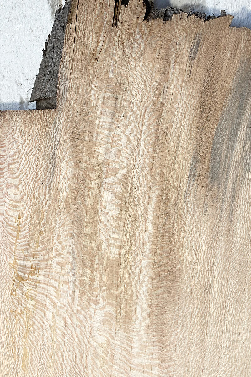 London Plane - Bookmatched Pair