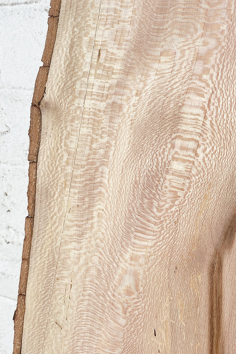 London Plane - Bookmatched Pair
