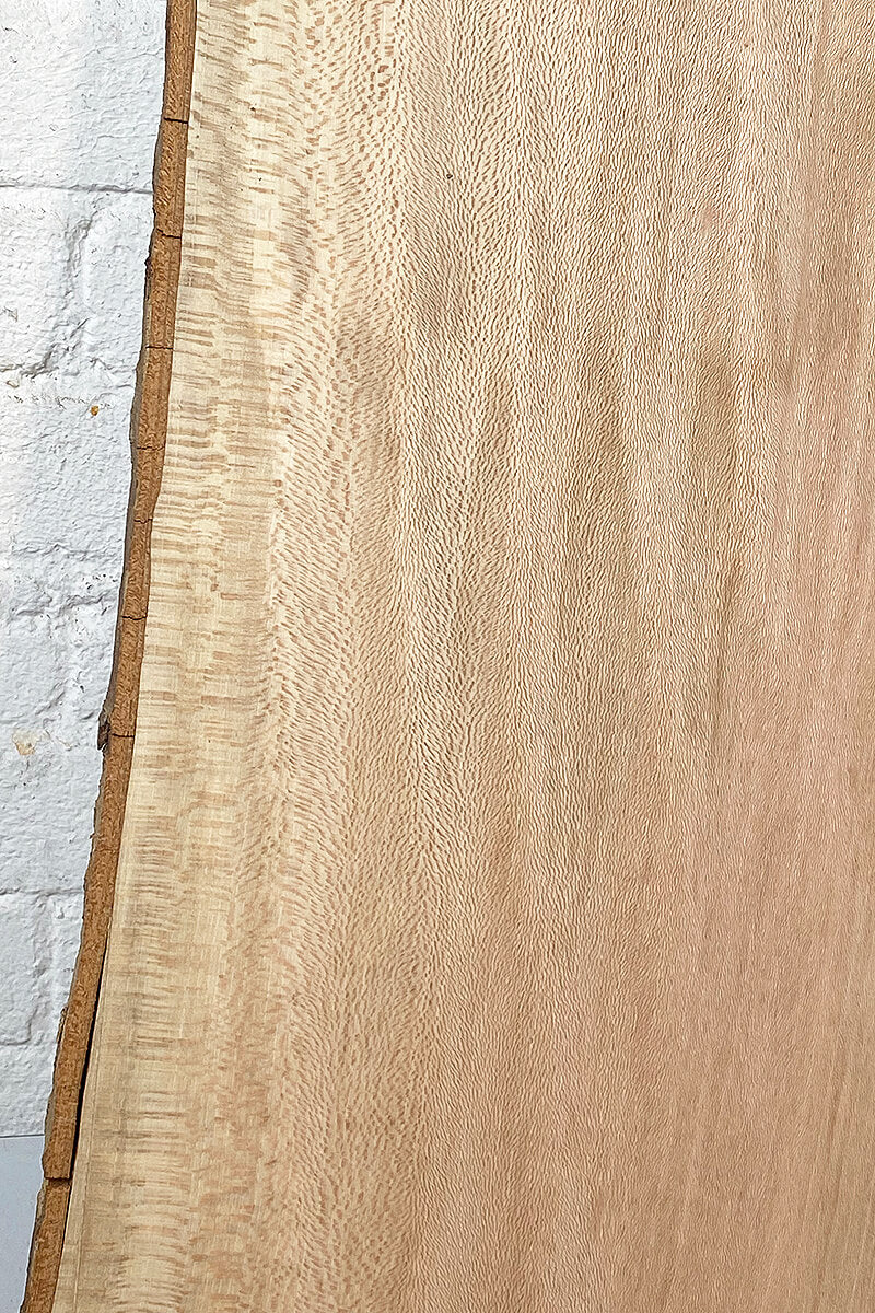 London Plane - Bookmatched Wood Boards