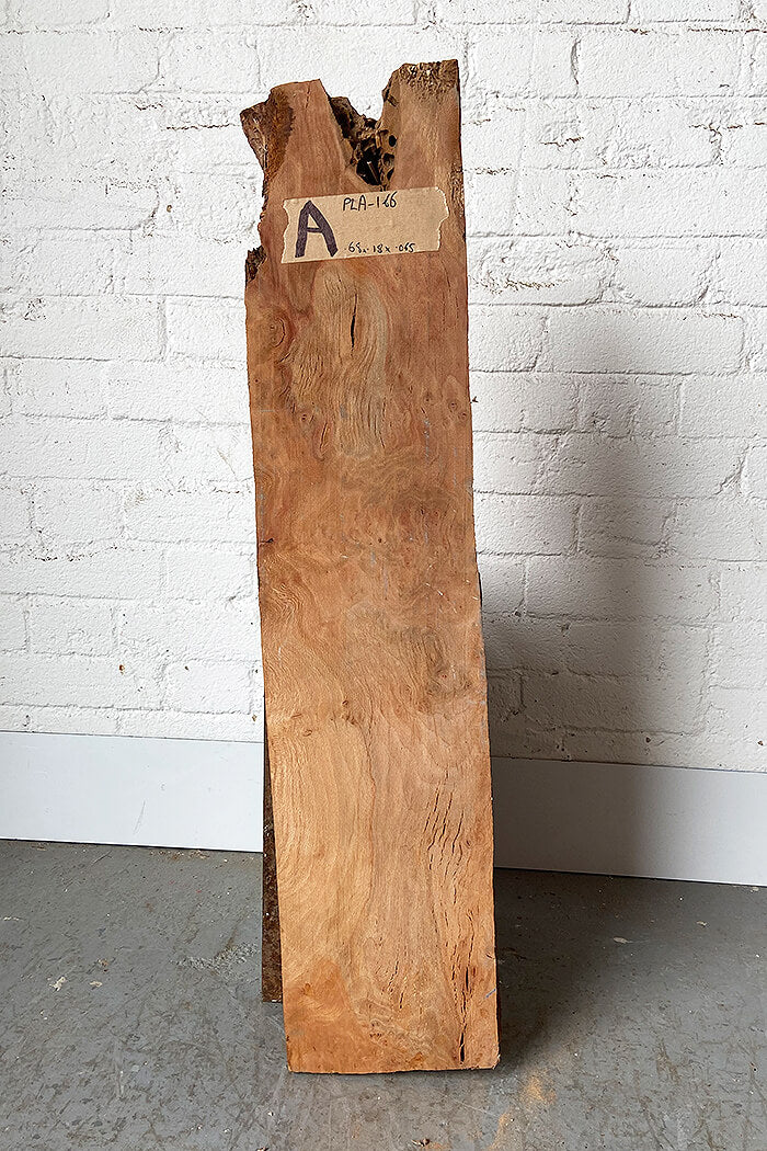 London Plane - Burr Board