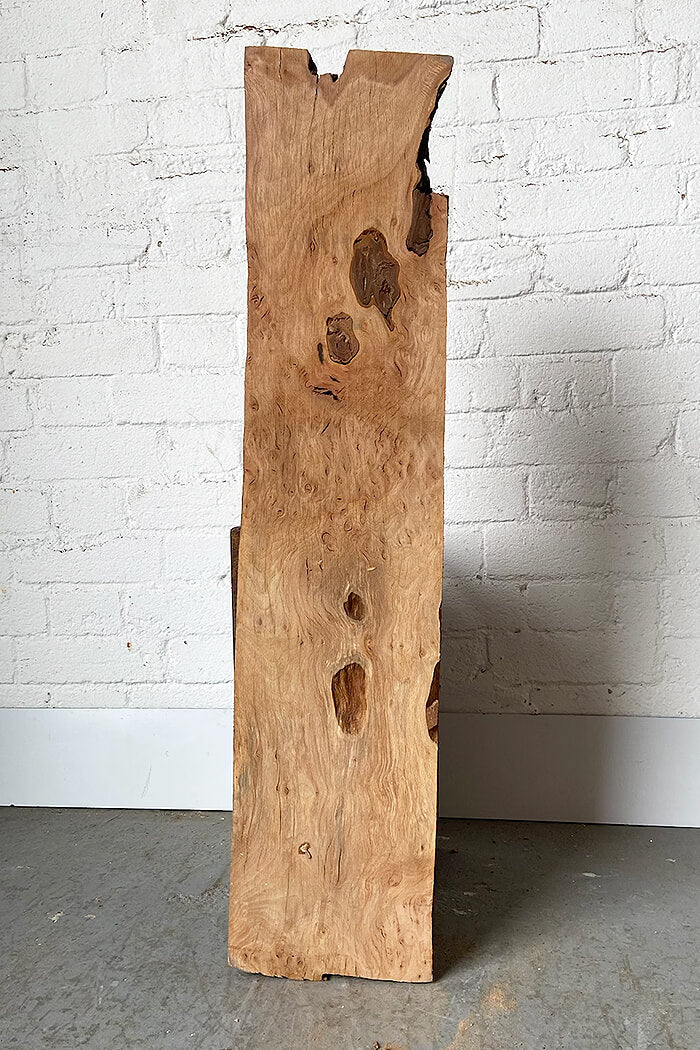 London Plane - Burr Board