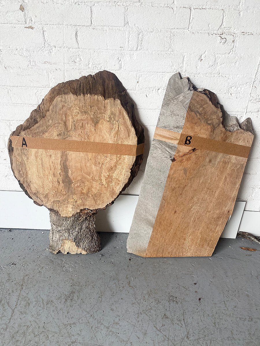 London Plane - Character Boards