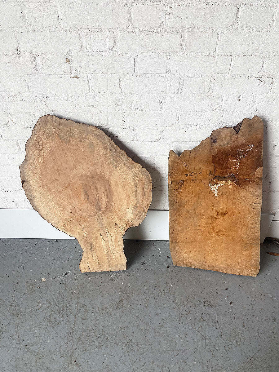 London Plane - Character Boards