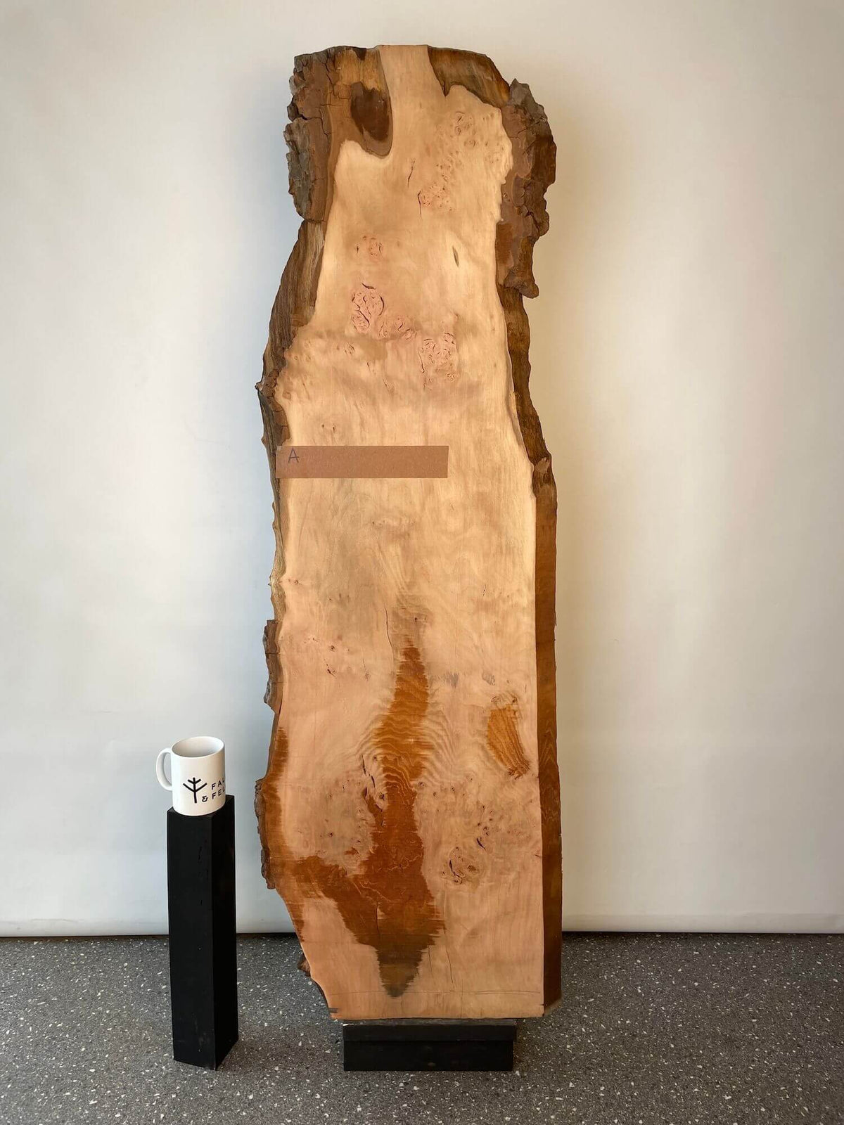 London Plane - Lacewood Board
