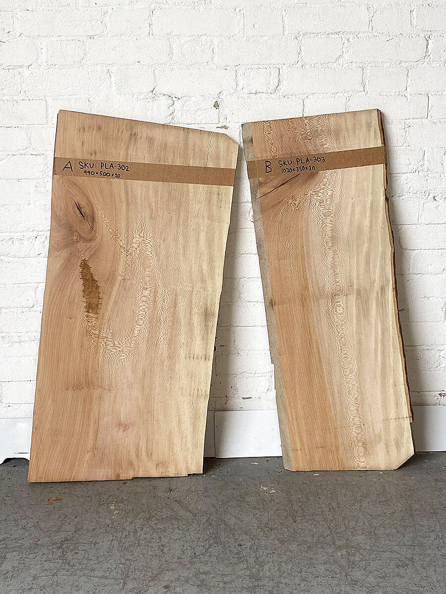 London Plane - Lacewood Boards