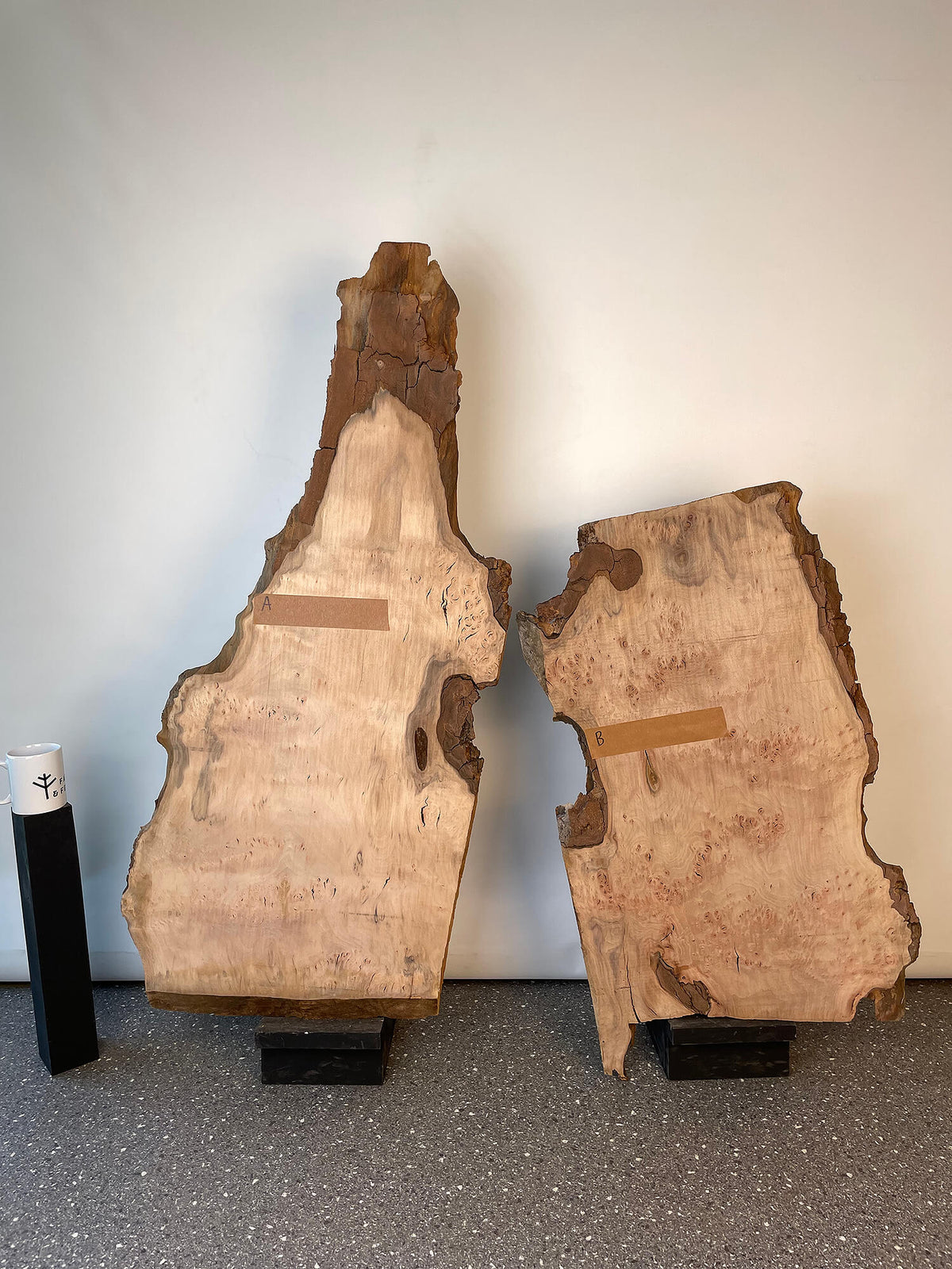 London Plane - Live Edge Boards