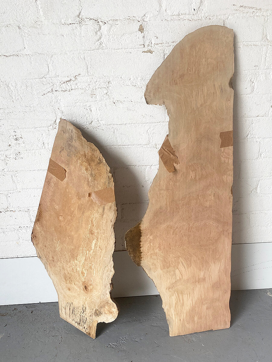 London Plane - Live Edge Boards