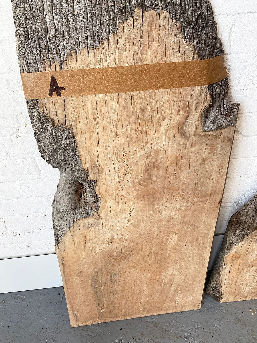 London Plane - Live Edge Boards