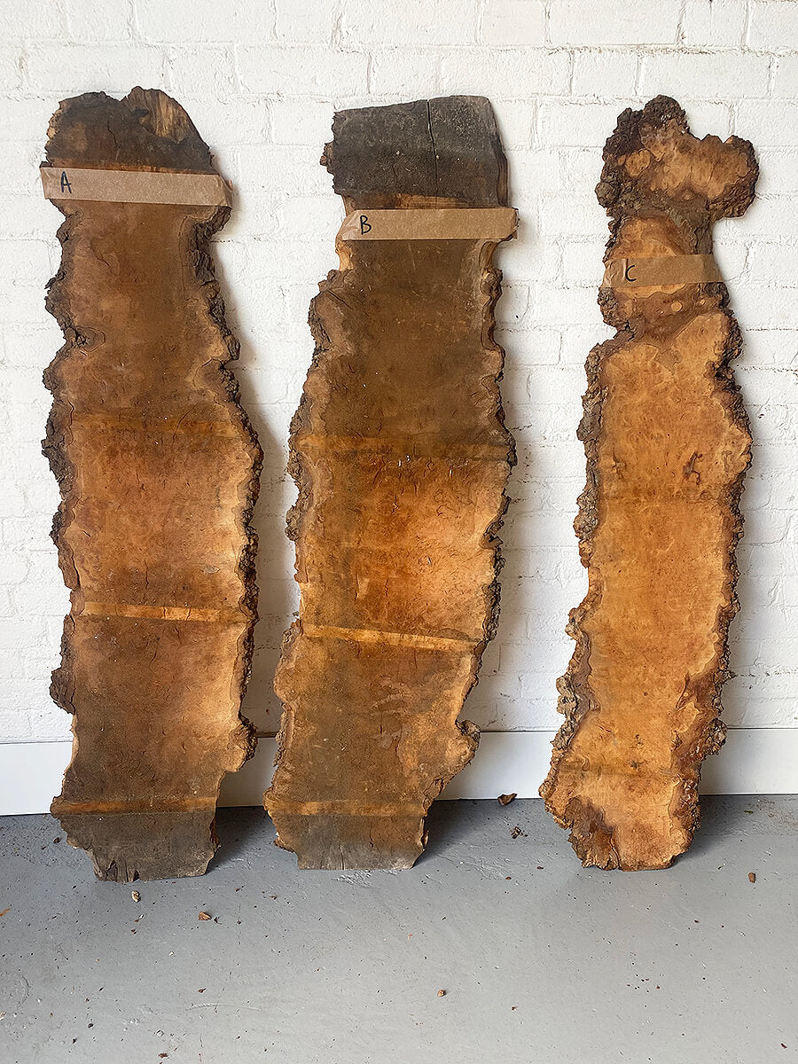 London Plane - Live Edge Burr Boards