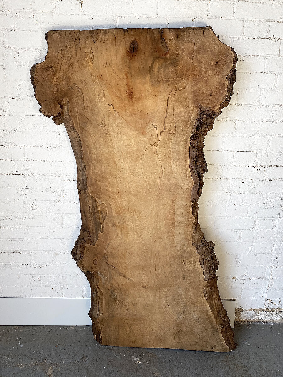 London Plane - Live Edge Slab