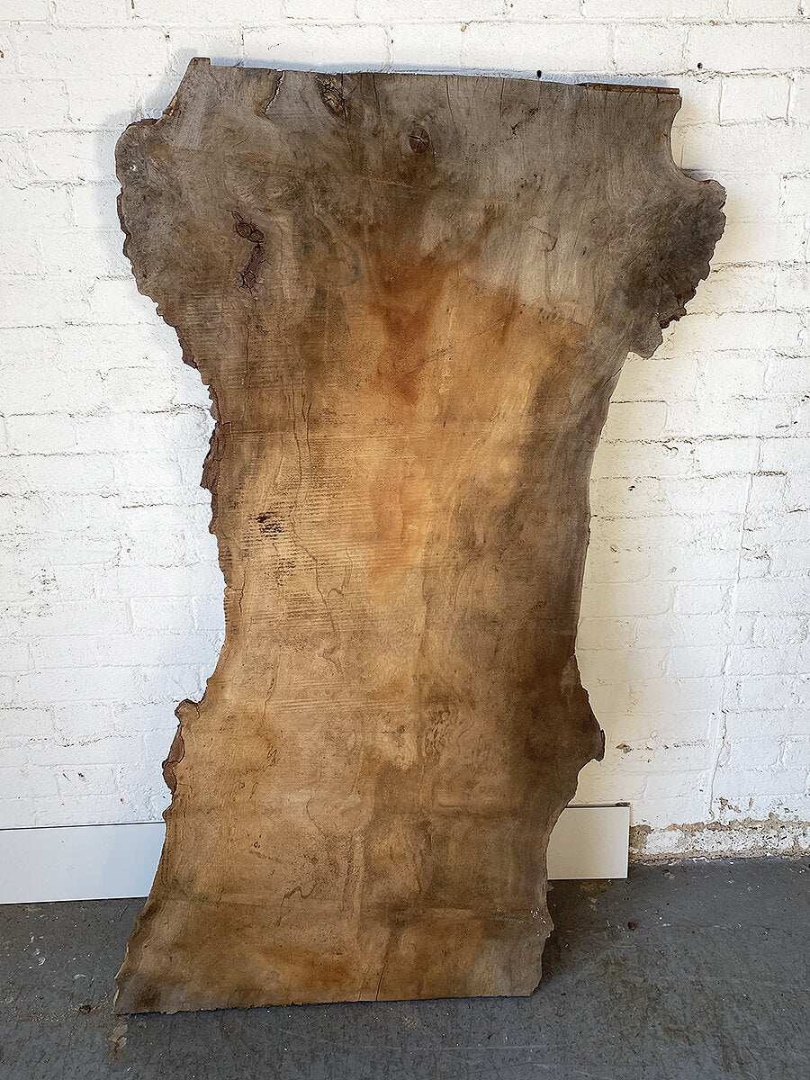 London Plane - Live Edge Slab