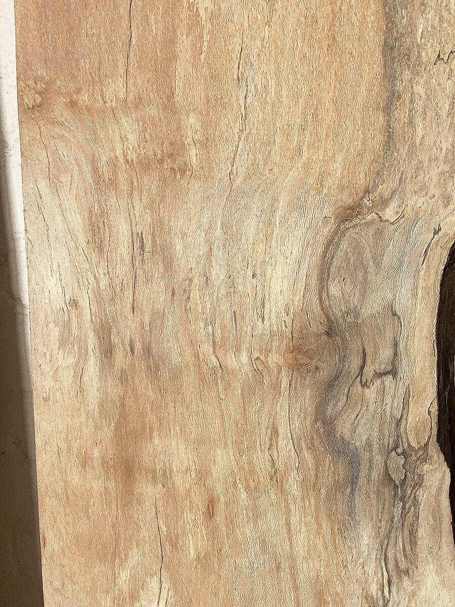 London Plane - Multiple Boards