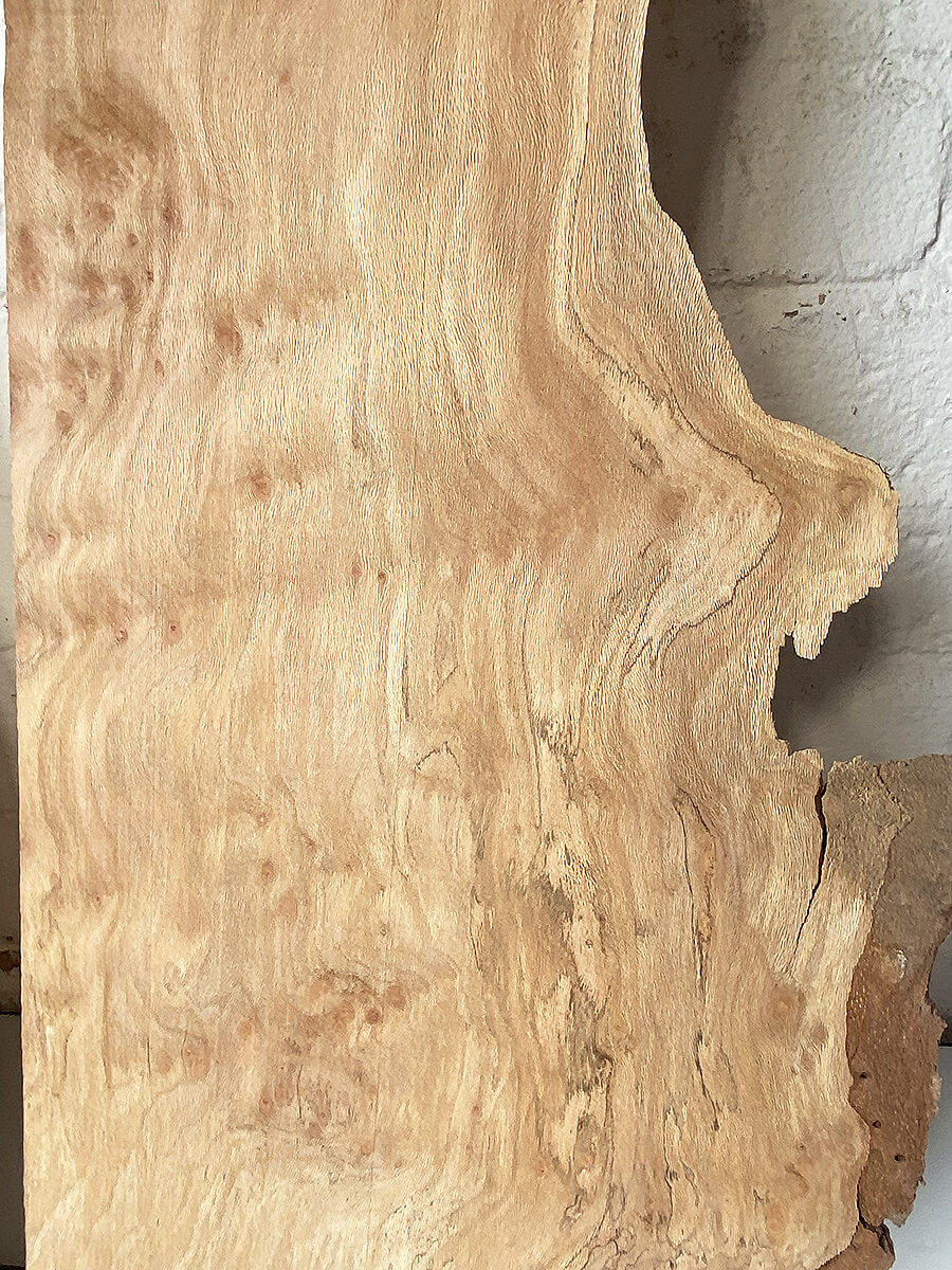 London Plane - Multiple Boards
