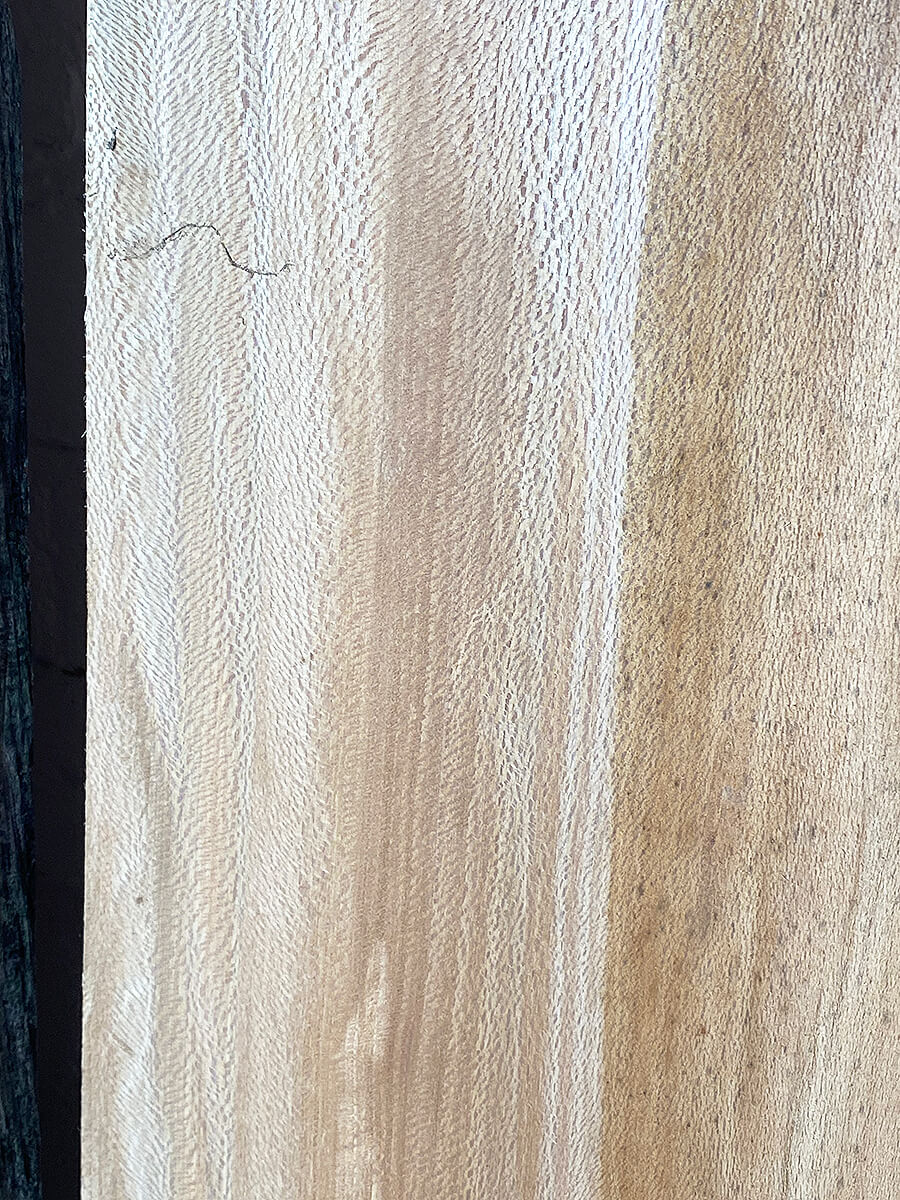 London Plane - Multiple Boards