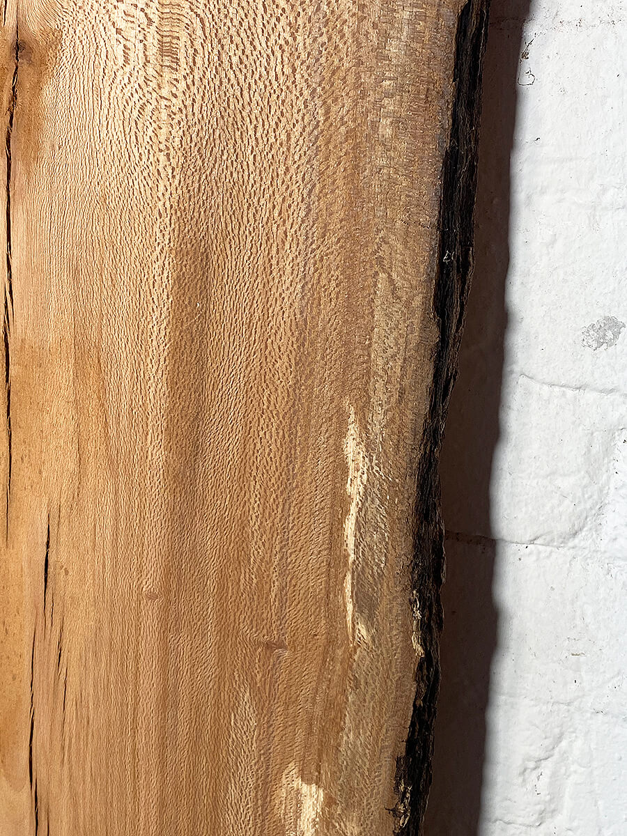 London Plane - Multiple Boards