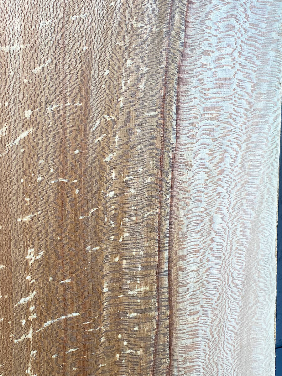 London Plane - Multiple Boards