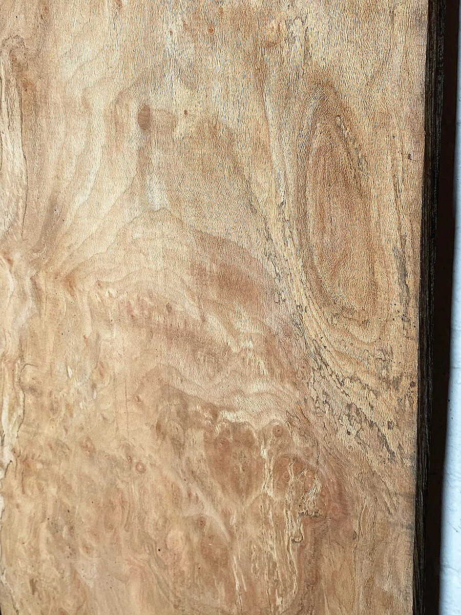 London Plane - Multiple Boards