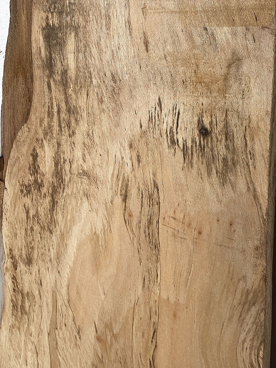 London Plane - Multiple Boards