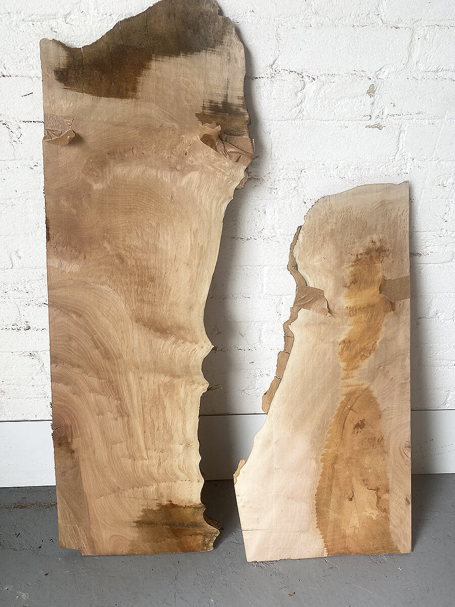 London Plane - Pip & Burr Boards