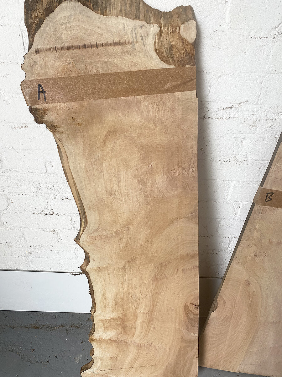 London Plane - Pip & Burr Boards