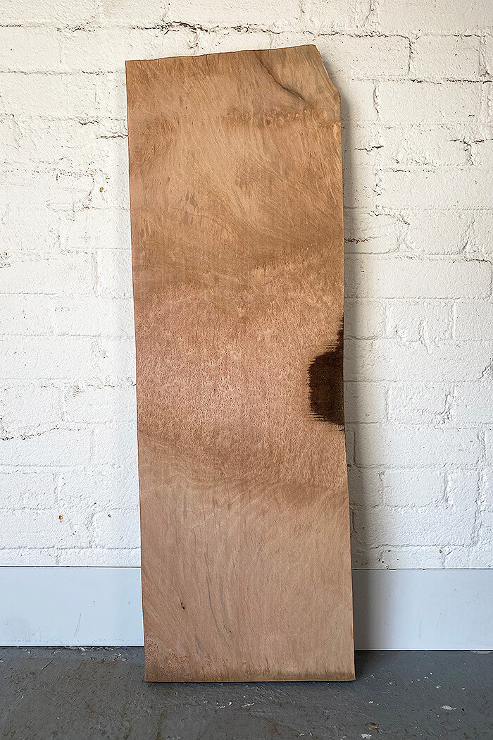 London Plane - Pippy Board