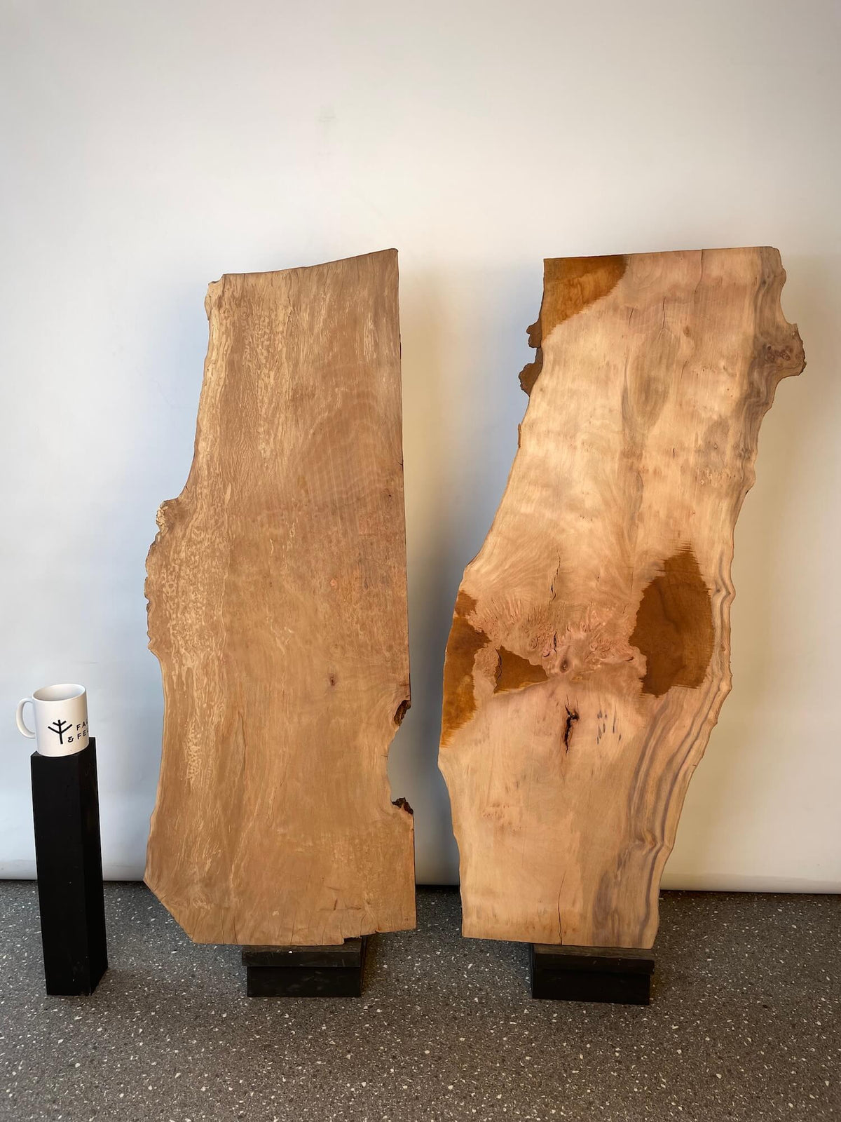 London Plane - Pippy Burr Boards