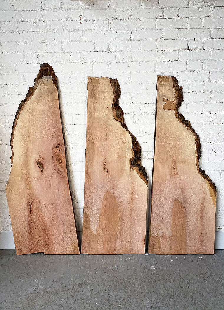 London Plane - Pippy Burr Boards
