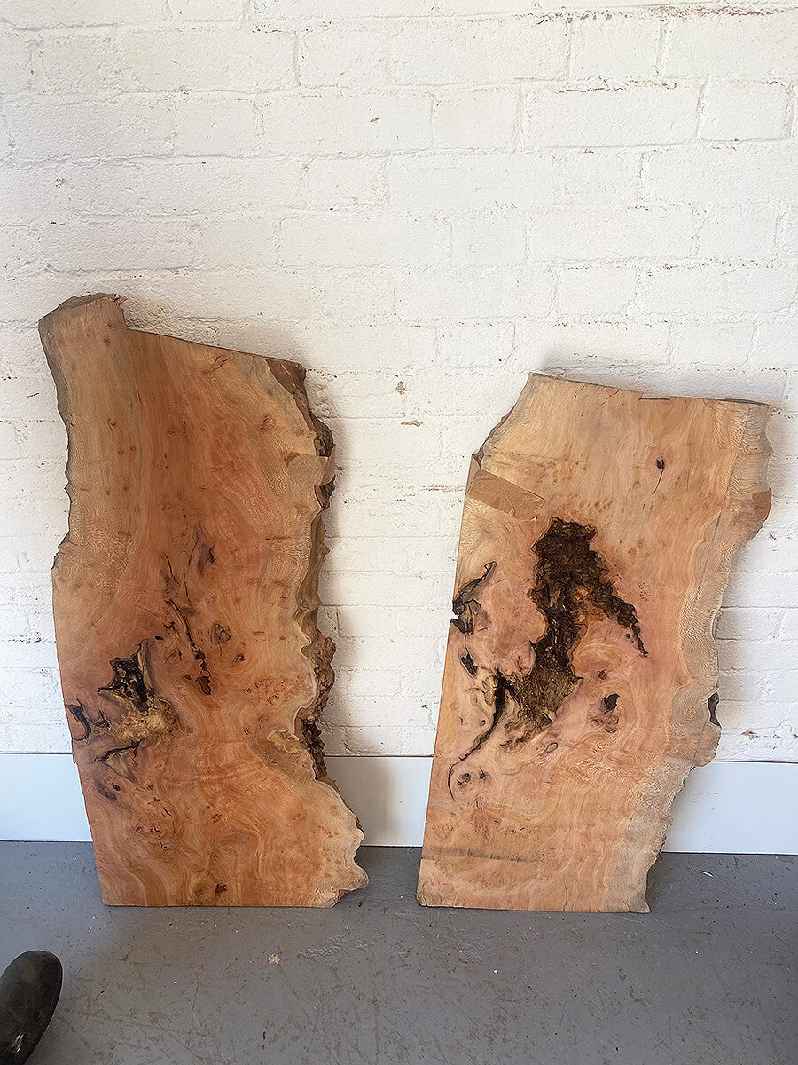 London Plane - Rustic Boards