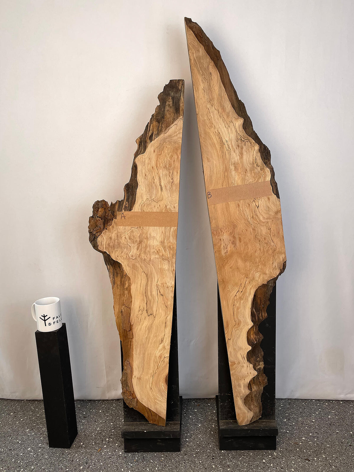 London Plane - Rustic Character Boards