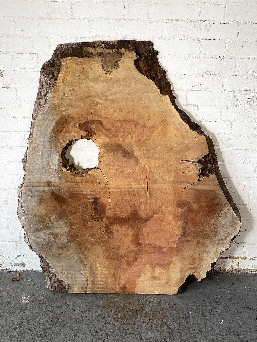 London Plane - Slab Board