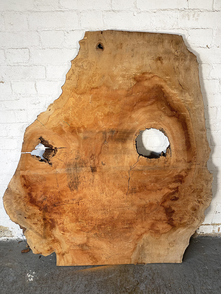 London Plane - Slab Board