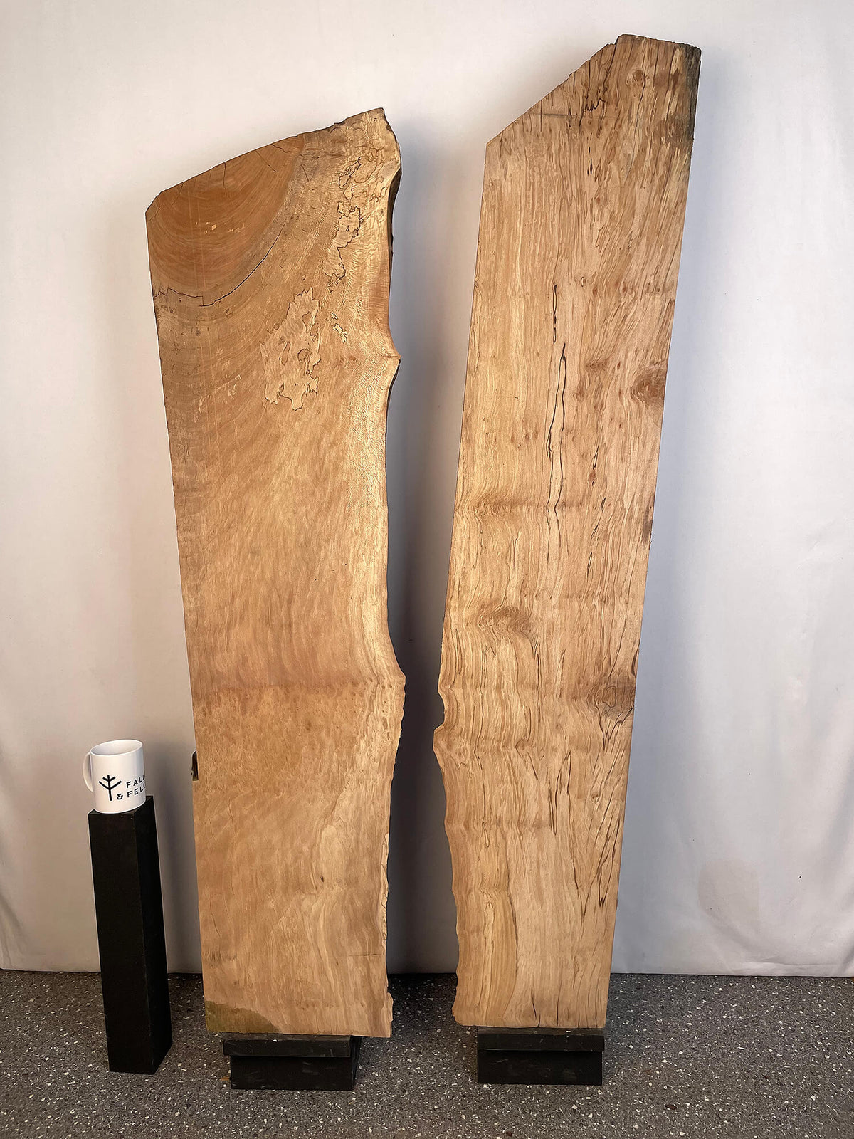 London Plane - Spalted Boards