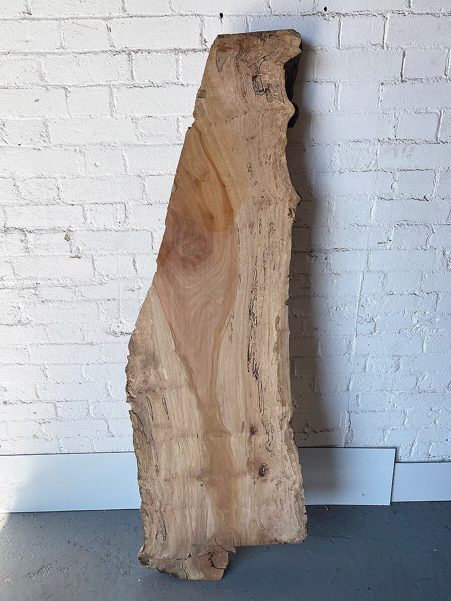 London Plane - Spalted Burr Board