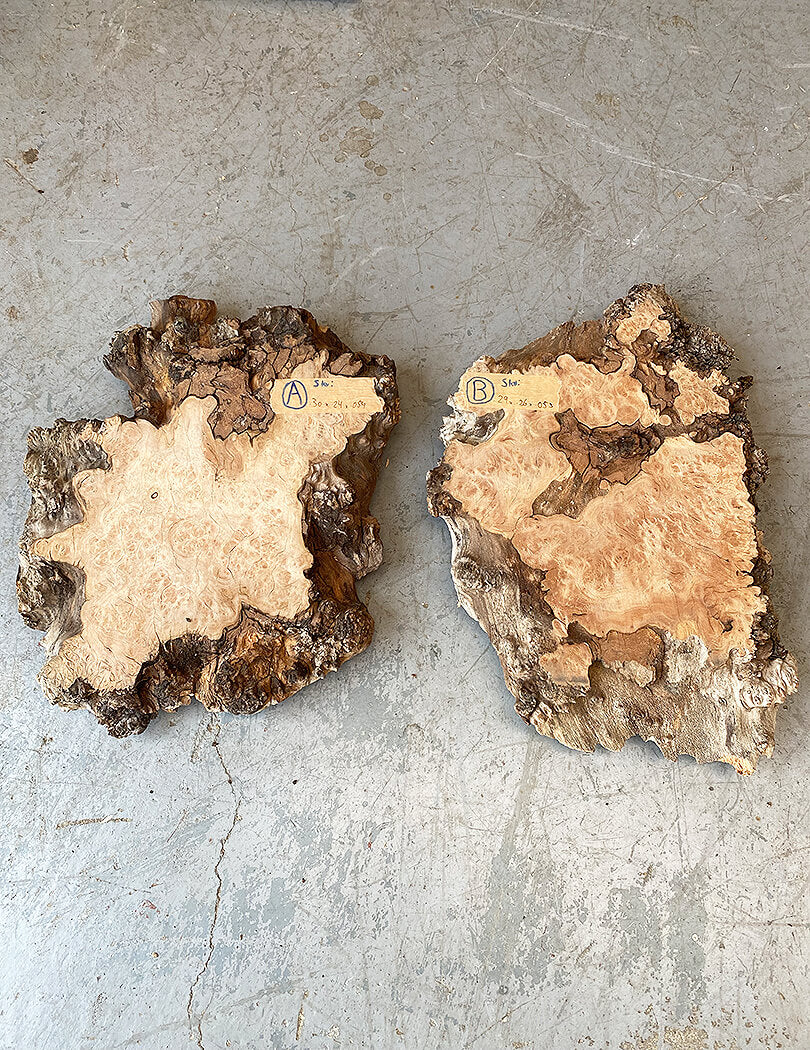 London Plane - Spalted Burr Boards