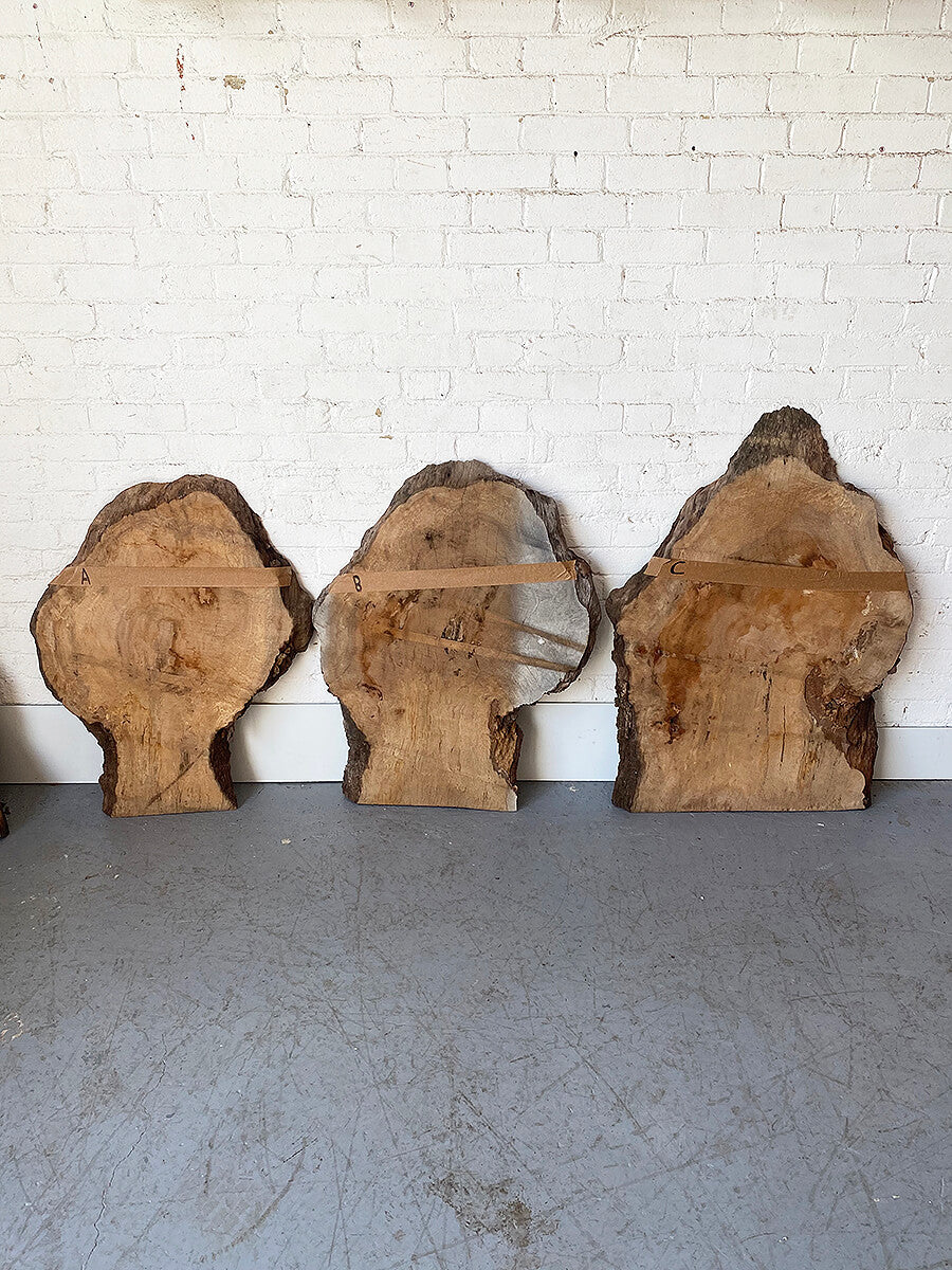 London Plane - Spalted Burr Boards
