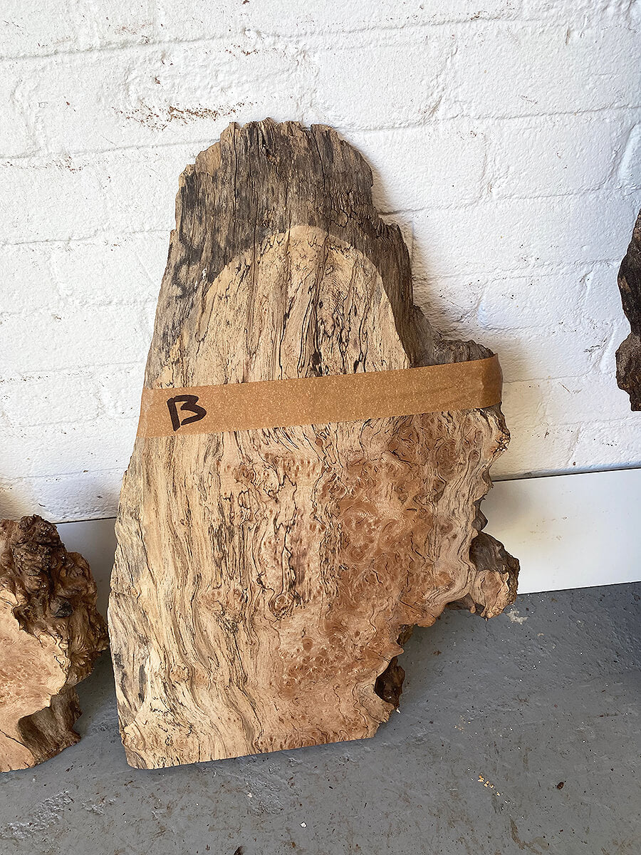 London Plane - Spalted Live Edge Boards
