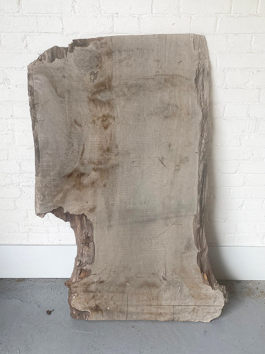 London Plane - Waney Edge Board