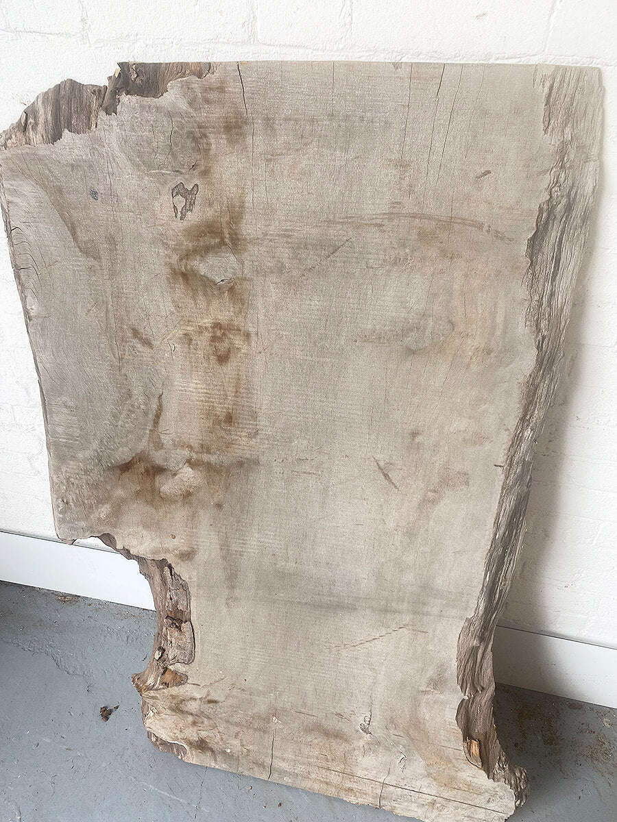 London Plane - Waney Edge Board