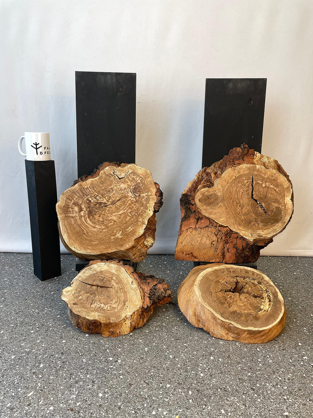 Oak - Cookies (Timber Pack)